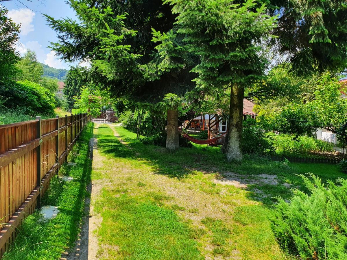 Pension Agnes Vişeu de Sus Exterior foto